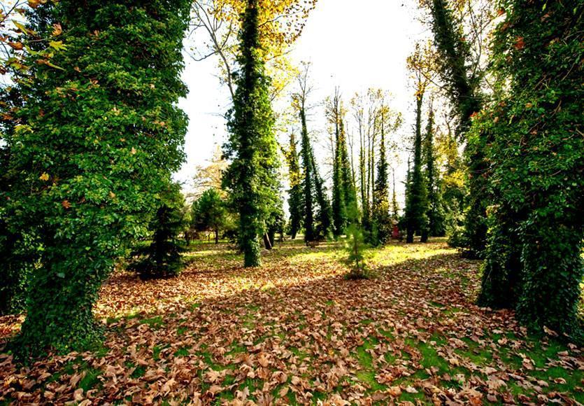 Готель Filyos Ecopark Caycuma Екстер'єр фото